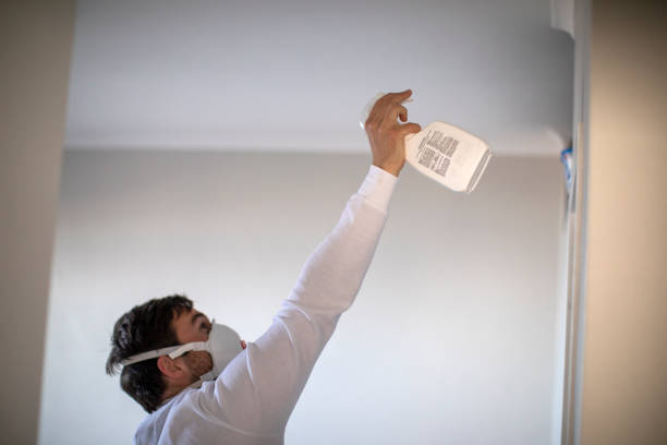 Best Certified Mold Removal  in Wathena, KS