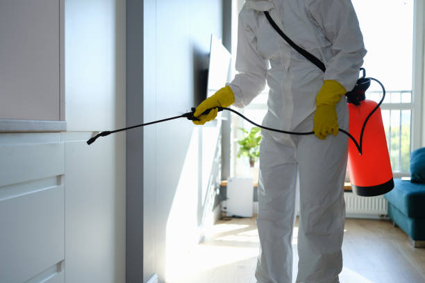 Mold Removal and Inspection in Wathena, KS