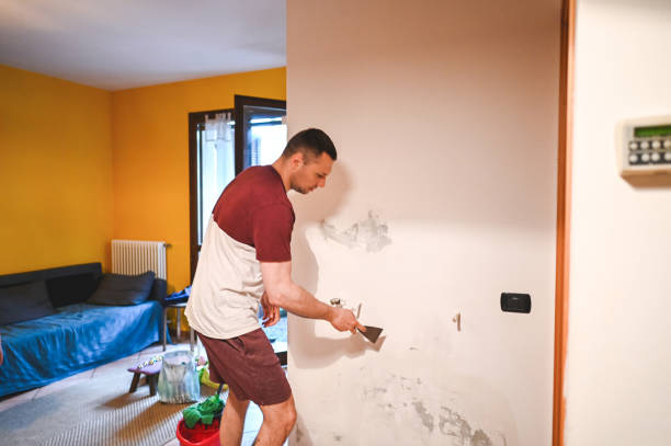 Best Black Mold Removal  in Wathena, KS
