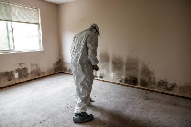Best Crawl Space Mold Removal  in Wathena, KS